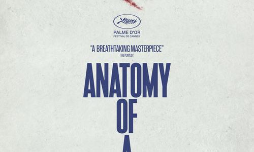 Anatomy of a Fall poster