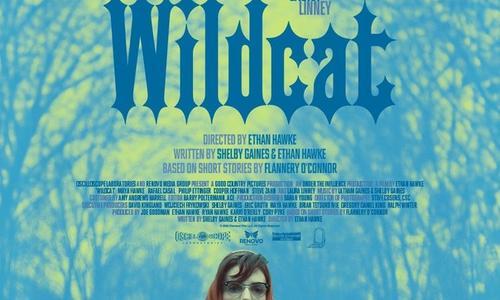 Wildcat poster
