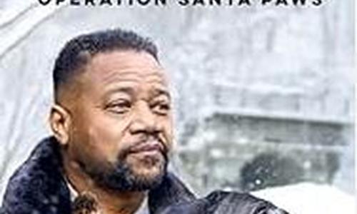 Dog Patrol: Operation Santa Paws poster